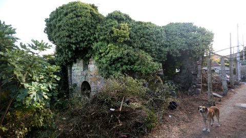 Restos ruinosos del monasterio de San Paio, en la parroquia de Albeos, municipio de Crecente