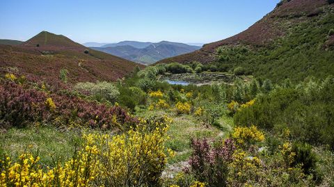 La laguna de A Lucenza, con agua y en primavera