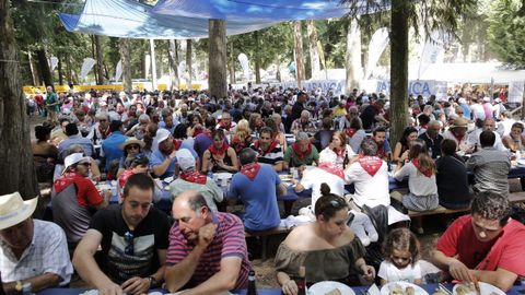 Festa do Pulpo en O Carballi�o