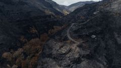 Imagen de uno de los incendios que se registraron en Ourense el pasado verano