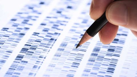 Prueba de paternidad