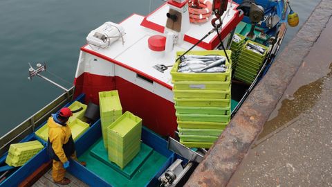 Foto de archivo de un pesquero de bajura descargando xarda en el puerto de Burela.