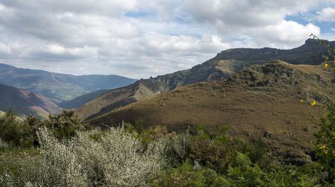 La zona de los Picos de Miranda, en la margen derecha del valle del L�uzara, presentaba este aspecto antes del incendio 