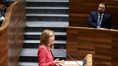  La consejera de Hacienda, Ana C�rcaba, durante el pleno que se celebra este viernes en la Junta General del Principado