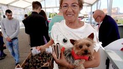 Festa da Cereixa en Beade