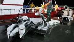 Un palangrero de superficie descargando caella en el puerto de Vigo, en una imagen de archivo