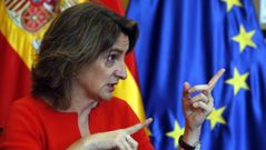 Teresa Ribera, vicepresidenta y ministra para la Transici�n Ecol�gica