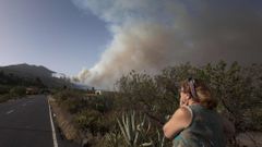 Un alem�n de 27 a�os detenido por el incendio de La Palma