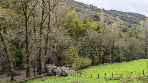 Antiguos molinos junto al cauce del L�uzara