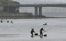 Imagen de archivo de mariscadores de a pie en aguas de la r�a coru�ea de O Burgo