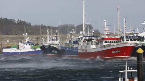 Barcos de Gran Sol espaoles y franceses amarrados en Celeiro das atrs