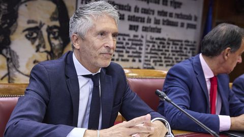El ministro del Interior, Fernando Grande-Marlaska, comparece ante la Comisin de Interior, en el Senado.