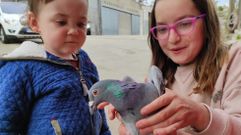 Una de las palomas encontradas