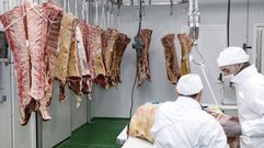 Trabajadores de Galcarnes en la sala de despiece de su f�brica, en una foto del a�o 2013