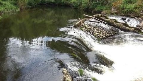 La CHMS mejorará la capacidad hidráulica del río Arnoia y del regato da Abelleira a su paso por los municipios ourensanos de Cartelle y Celanova
