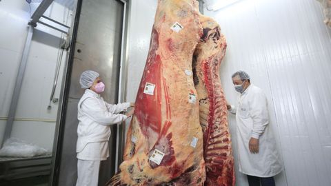 El animal pasar� varios meses en un proceso de maduraci�n cuando sea trasladado a Madrid 