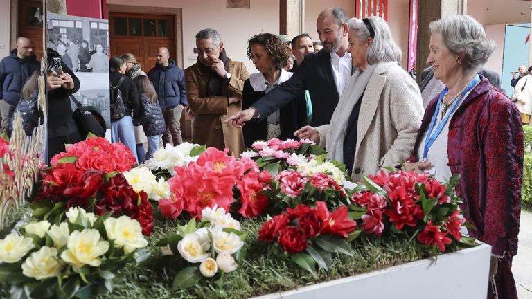 Exposicion La camelia, flor de Galicia