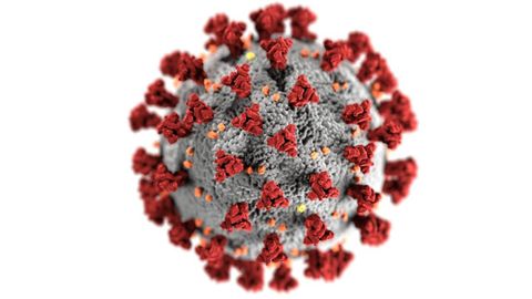Imagen del coronavirus SARS-CoV-2 responsable de la enfermedad de la COVID-19. Las protuberancias rojas son las llamadas esp�culas.