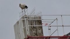 Imagen del contrapeso de una gr�a con pinchos para disuadir a las aves