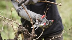 El curso incluir� formaci�n pr�ctica, adem�s de la te�rica