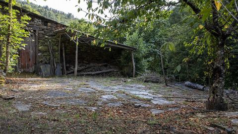 La aira de la Casa do Peseta es una las cinco que hay en la aldea y en las que se mallaban los cereales para separar el grano de la paja