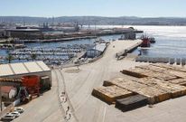 Vista parcial del muelle interior, con mercanc�as almacenadas como madera y papel. 