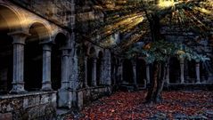 La imagen ganadora, titulada Pedras de Lume