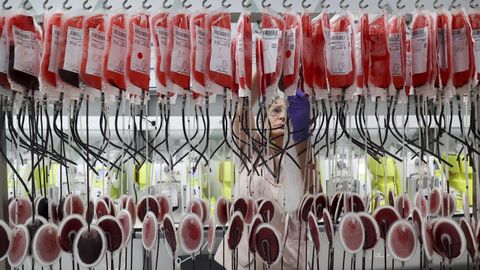 Laboratorios de la Axencia Galega de Sangue, rganos e Tecidos, en Santiago. 