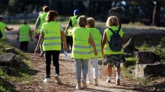 Las andainas tendr�n salida desde praza dos Olmos