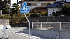 Fukushima, un ao despus