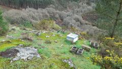 Las colmenas estaban en una zona de barranco