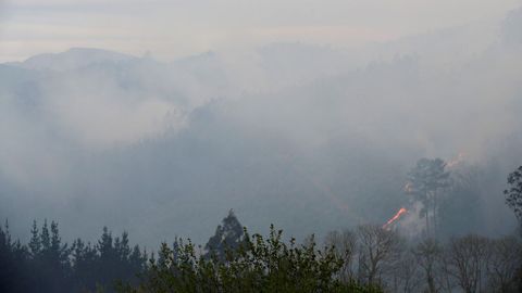 Uno de los focos del incendio declarado ayer lunes en la Sierra de Sollera, en los concejos de Grado, Candamo y Salas, que ha sido estabilizado a lo largo de la noche por los bomberos del Servicio de Emergencias del Principado de Asturias (SEPA), aunque varios focos permanecen activos dentro un per�metro controlado. 