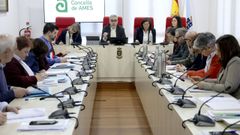 La oposici�n de Ames (PP, BNG y Espazo Com�n) rechaz� la cuesti�n de confianza presentada por el alcalde, Blas Garc�a (PSOE) tras perder en el pleno del lunes (en la imagen) la votaci�n del presupuesto.