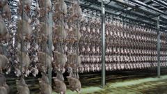 Instalaciones de la empresa Coren en Santa Cruz de Arrabaldo 