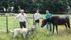 El arca de No� para animales y ni�os