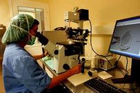 La donaci�n de gametos se necesita para la fecundaci�n in vitro.