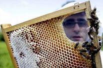 AGA aposta por este negocio como sa�da econ�mica sostible para moitos mozos.