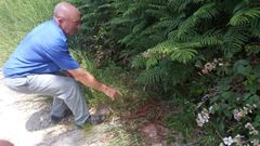 El vecino de la parroquia de Arcos Jos� P�rez muestra el lugar en el que hace unos d�as encontr� muerto a su perro. La zona est� pr�xima a su vivienda y explica que escuch� ruido por la noche. Sin embargo, cuando sali� fuera ya nada pudo hacer por el ejemplar