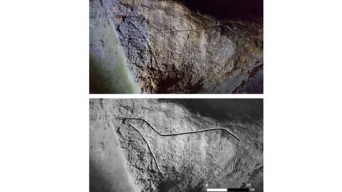 Fotografa y calco de una cierva de la cueva de Las Mestas II