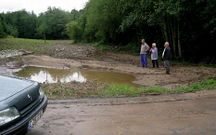 Piedras de hielo �como se foran pelotas� arrasaron durante una hora las cosechas de los agricultores de Novela y Li�ares. 