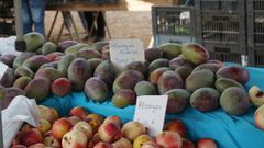 �Delicatessen� lusas al mejor precio