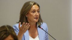 Luisa S�nchez, presidenta del PP vigu�s