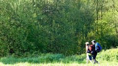 Chequeo al Camino Ingl�s de Ordes a Compostela