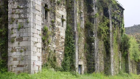 El musgo y otras plantas suben por el monasterio de Monfero. 