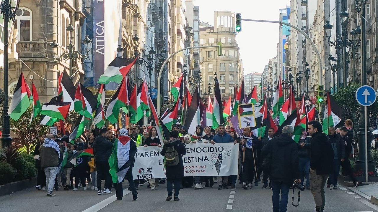 Miles de vigueses salen a la calle para protestar contra el «genocidio ...