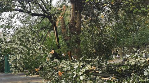 Los daos causados por el temporal de viento Amelieen Avils