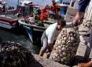 El rel� fue apartado de la n�mina de mariscos comerciales en el a�o 2008. 