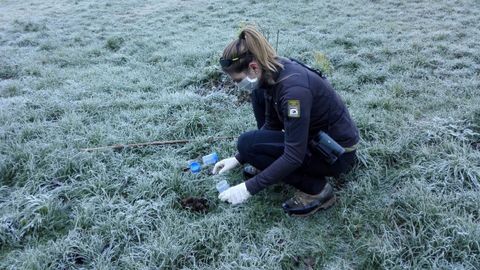 Preparando la carro�a con antibi�tico para el osezno abandonado en Li�bana