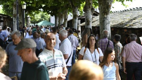 Feira de Artesana e Gastronoma de Castroverde, ambiente