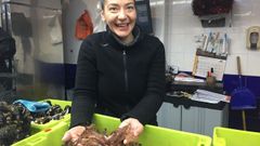 Los camarones m�s grandes alcanzan los 130 euros el kilo, cuando hace una semana estaban entre 90 y 100